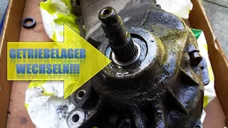 Roller Getriebelager wechseln | Piaggio | bizzybest