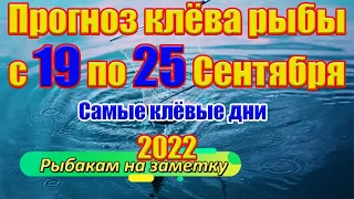 Прогноз клева рыбы на эту неделю с 19 по 25 Сентября Календарь рыбака на Сентябрь Прогноз клева