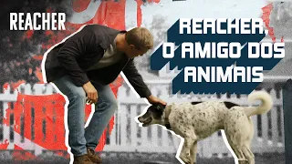 Até os pets adoram o Reacher | Prime Video Portugal