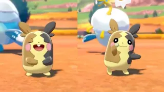 Pokémon Camp CUTEST MOMENTS - Pokémon Sword and Shield