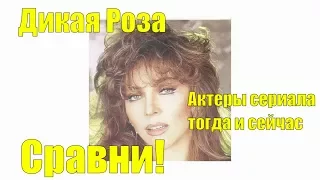 «Дикая Роза» актеры сериала тогда и сейчас! Сравни!