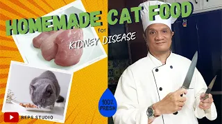 😺 HEALTHY  CAT FOOD HOMEMADE for CAT WITH CKD KIDNEY DISEASE, COOK BOIL CHICKEN BREAST & VEGE