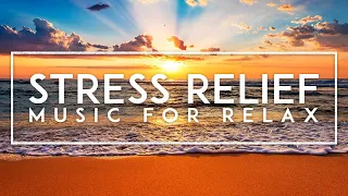 Soothing Sounds: 1 Hour Relaxing Music for Stress Relief