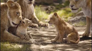 The Lion King 2019 - Bath Scene