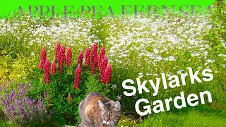 How to Create a Charming Garden: Flowers, trees, meadow, pond and character at Skylarks Garden