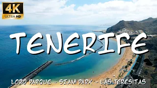 TENERIFE 2022 - Loro park, Siam park, Las Teresitas, 4K, GoPro10, DJI Air2s