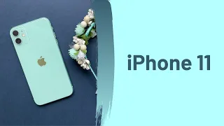 iPhone 11 - opinia po 1,5 roku
