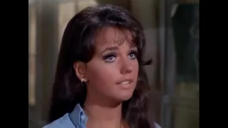 DAWN WELLS - "I'm Too Sexy"