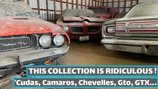 BARN FINDS| A SECRET Stash of Muscle Cars