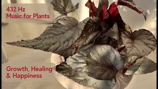 Growth and Healing Frequencies: 432 Hz Music for Plants Happiness