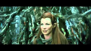 The Hobbit: The Desolation of Smaug - Kili and Tauriel First Meet