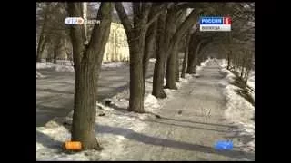 Утро России - Вологодская область (02.03.2015, 8:35)