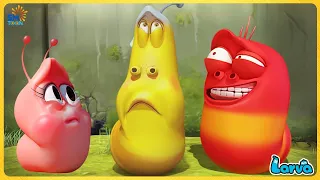 LARVA SEASON 2 FULL EPISODE | CARTOON NEW VERSION TOP 50 EPISODE