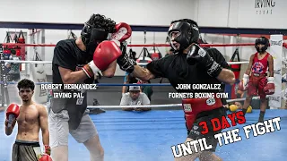 3 DAYS LEFT! 👊🏼 Sparring Against a 100+ Fight Boxer!