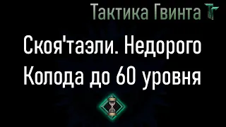 Колода-04/Скоя'таэли/Недорогая, на Стартовой колоде Скоя'таэли [Гвинт Карточная Игра]