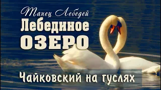 Tchaikovsky Music & really dance of two White Swans at the lake on Gusli!