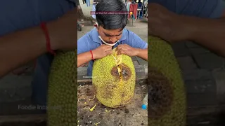 40Kg HUGE Kathal (jackfruit) of Surat😱😱 Have you eaten this?? #jackfruit #surat #streetfood #shorts