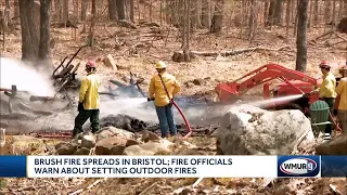 Brush and forest fires break out in Bristol, Effingham