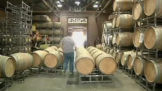 Землетрясение ударило по виноделам долины Напа - economy