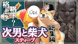 【45分総集編】本当の兄弟以上？柴犬と次男のムフフな関係