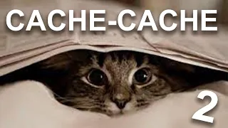 CACHE CACHE 2