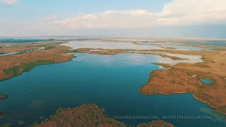 Danube Delta - White pelicans feeding / Aerial