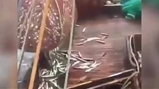 Surprise for Russian fishermen