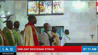 ONE-DAY DIOCESAN SYNOD
