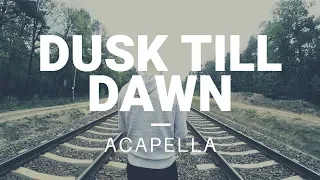 ZAYN ft. Sia - Dusk Till Dawn (zwieR.Z. Remix) Acapella