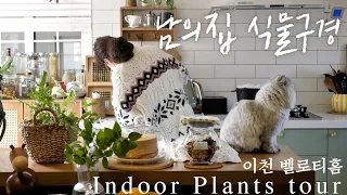 Indoor plants tour 🌿house tour Korea 'BellothHome' part1
