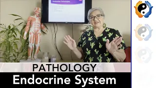 Endocrine System Pathologies