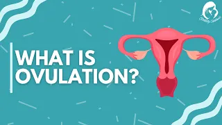 What is Ovulation? | Ovulations Symptoms | Fertility Solutions