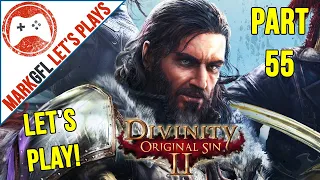 Let's Play Divinity: Original Sin 2 - First Playthrough - part 55