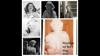 Marilyn Monroe Pictures!  Some Rare!
