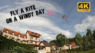 Fly a kite on a windy day