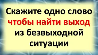 Скажите одно слово, чтобы найти выход из безвыходной ситуации. Не знаете, что делать со своей жизнью