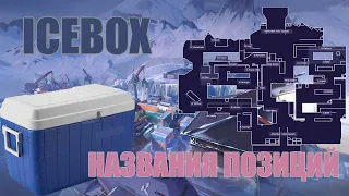 Айсбокс Позиции | Названия позиций на Icebox (для микса, команды)