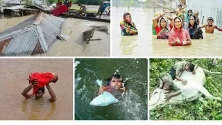 Flood in Bangladesh || Top 5  Dangerous Flood in Bangladesh