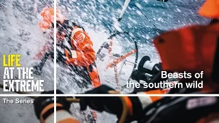 Life at the Extreme - Ep. 26 - 'Beasts of the southern wild' | Volvo Ocean Race 2014-15