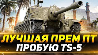 TS-5 - СТОИТ ЛИ БРАТЬ В ПРЕМ МАГАЗИНЕ?