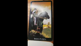 DAILY Psychic Tarot Reading for Friday September 24, 2021