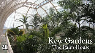 Kew Gardens - The Palm House (4K) Virtual Tour