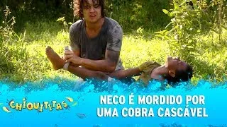 Chiquititas - Capítulo 161 (12/02/2021) Neco é picotado por cobra