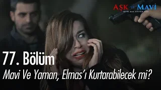 Mavi ve Yaman, Elmas'ı kurtarabilecek mi? - Aşk ve Mavi 77. Bölüm