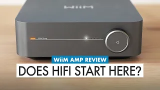 HiFi Money SAVER? What To Know BEFORE YOU BUY! WiiM Amp Review