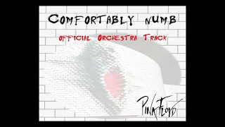 Pink Floyd - Comfortably Numb Orchestra Track (not a cover)