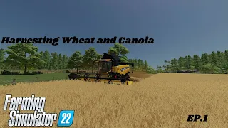 Krumback ( Harvesting Wheat and Canola fields ) EP.1 Farming Simulator 22