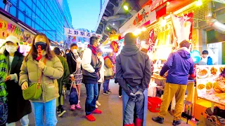 Ueno in Tokyo 🐶The end of the year is here♪💖4K ASMR non-stop 1 hour 05 minutes