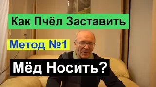 №116 Как пчёл заставить мёд носить? | Медосбор | Медовик | Пчеловодство | Пасека