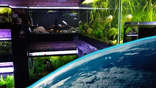 The BEST Fish Tank Sizes on The Planet!